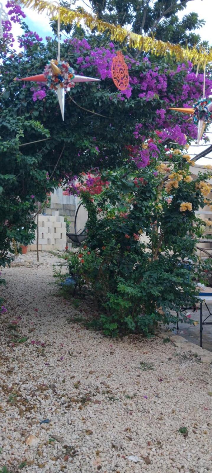 Casa Los Jarochos 바야돌리드 외부 사진